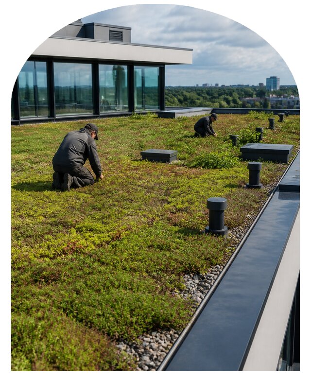 Зеленая крыша под ключ в Копейске от 6671 р. | Метпроект-Кпс