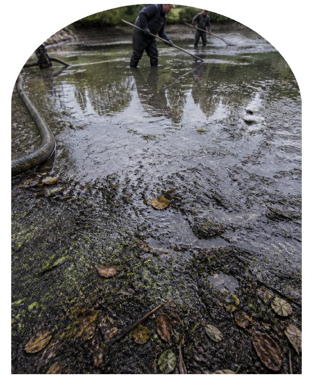 Очистка пруда в Копейске от ила мусора и водорослей с вывозом